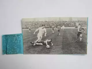 Вырезка. Футбол. Фото 310.