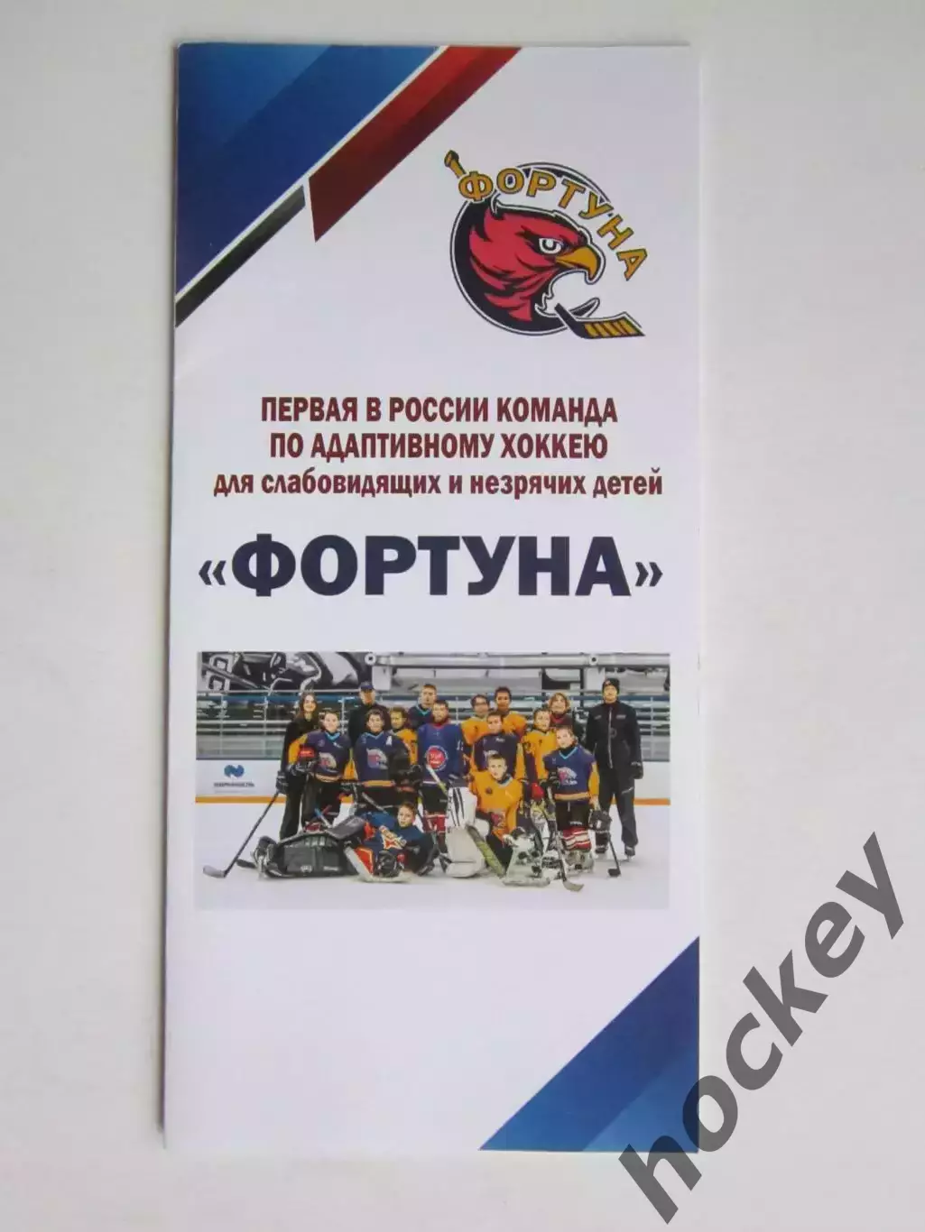 Фортуна. Первая в России команда по адаптивному хоккею (6 стр.)