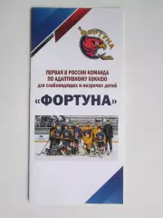 Фортуна. Первая в России команда по адаптивному хоккею (6 стр.)