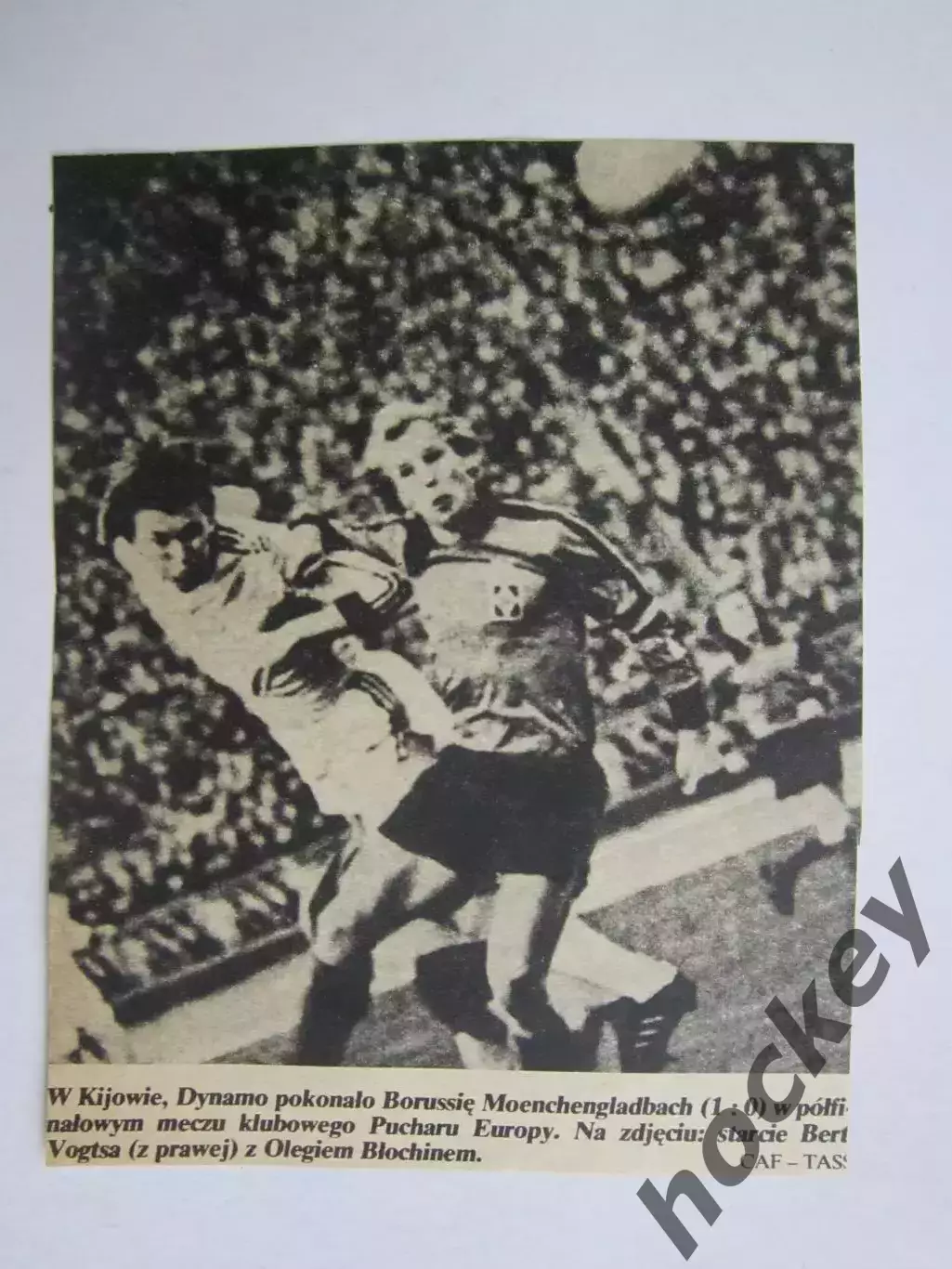 Вырезка. Футбол. Фото 318.