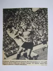 Вырезка. Футбол. Фото 318.