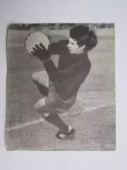 Вырезка. Футбол. Фото 319.