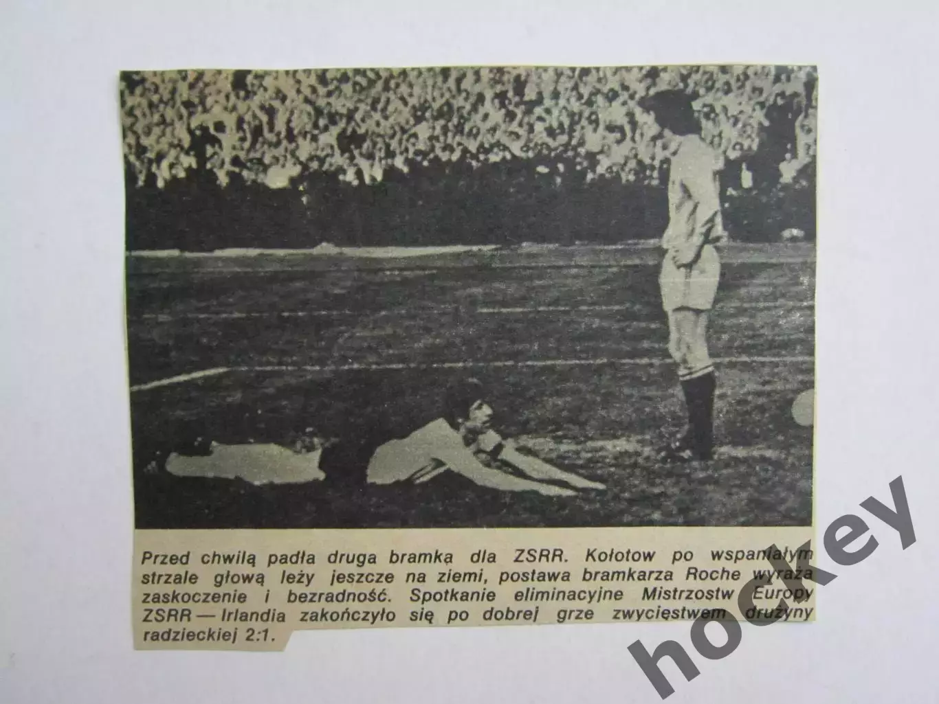 Вырезка. Футбол. Фото 320.