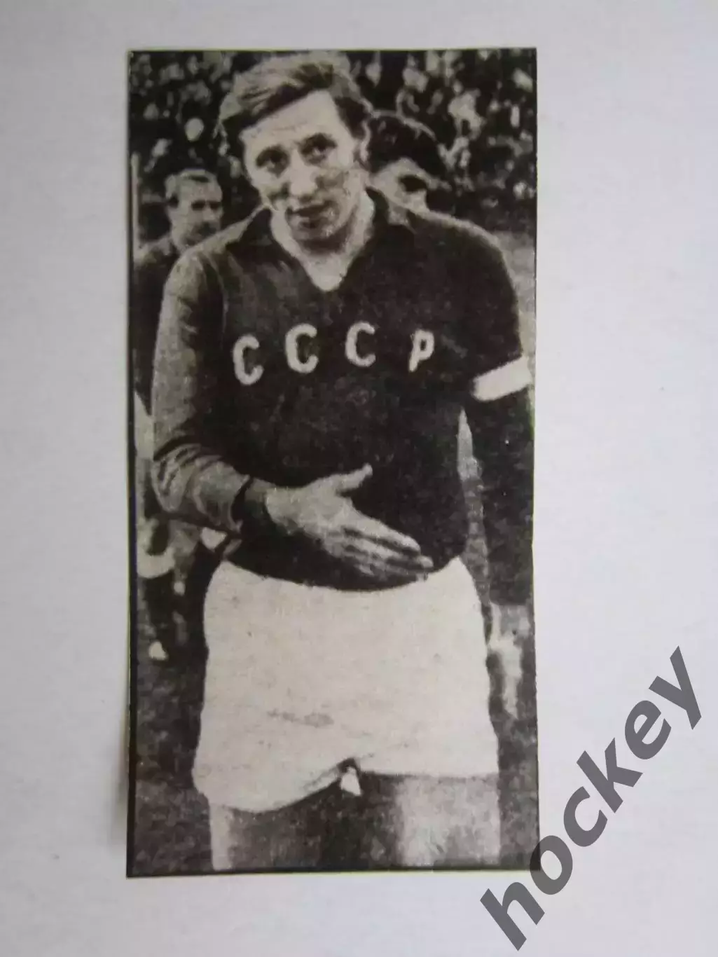 Вырезка. Футбол. Фото 322.