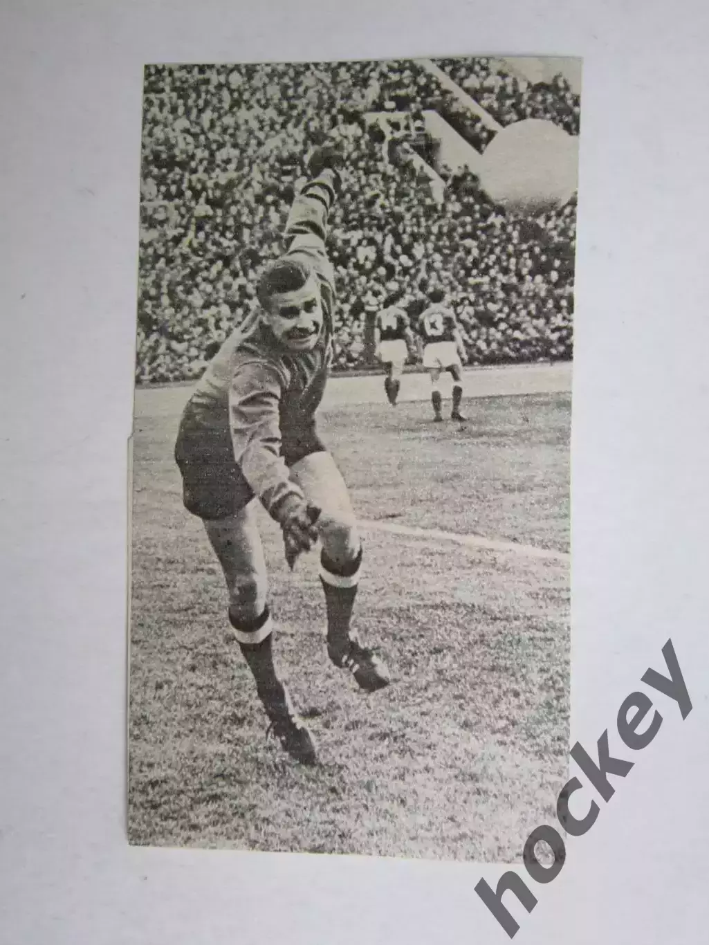 Вырезка. Футбол. Фото 328.