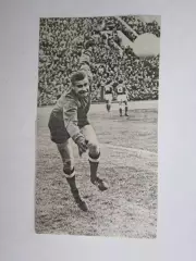 Вырезка. Футбол. Фото 328.