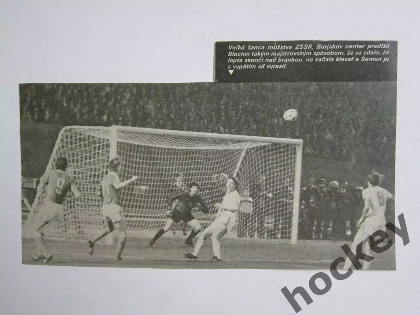 Вырезка. Футбол. Фото 337.