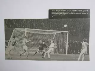 Вырезка. Футбол. Фото 337.