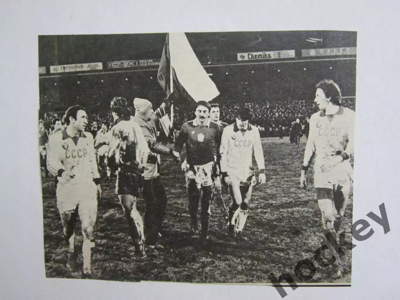 Вырезка. Футбол. Фото 340.