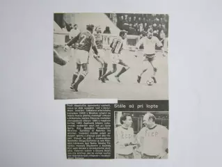 Вырезка. Футбол. Фото 342.