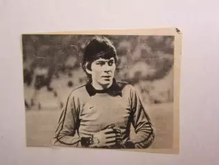 Вырезка. Футбол. Фото 346.