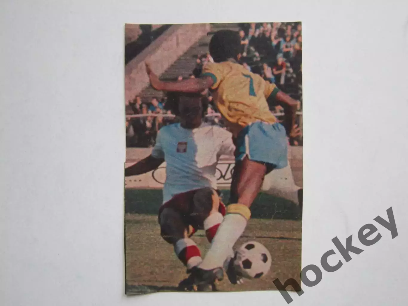 Вырезка. Футбол. Фото 353.