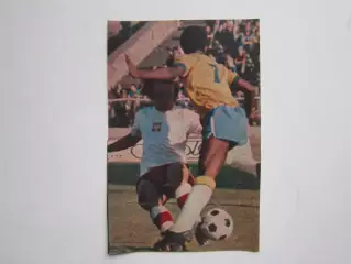 Вырезка. Футбол. Фото 353.