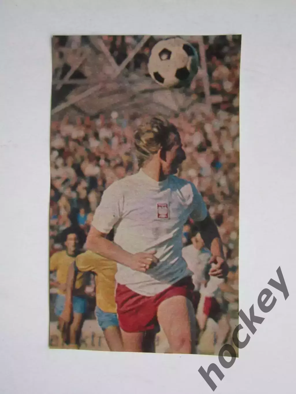 Вырезка. Футбол. Фото 355.