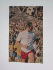 Вырезка. Футбол. Фото 355.