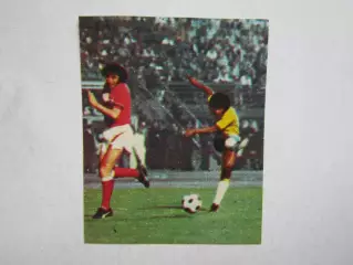 Вырезка. Футбол. Фото 357.