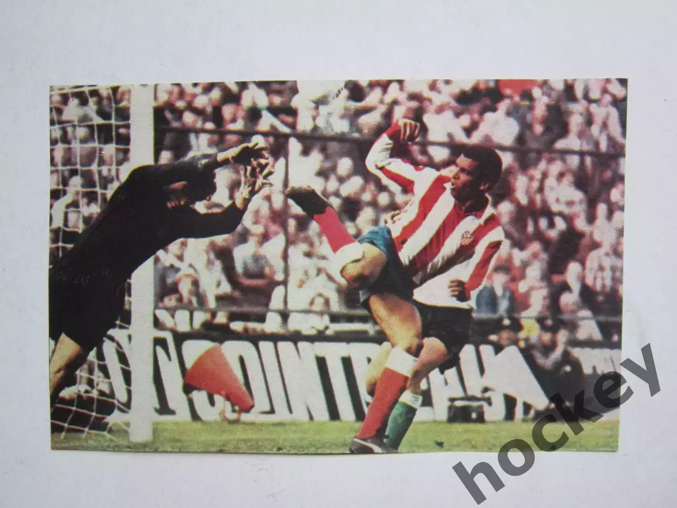 Вырезка. Футбол. Фото 358.