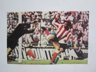 Вырезка. Футбол. Фото 358.