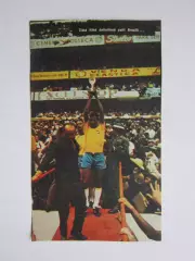 Вырезка. Футбол. Фото 365.