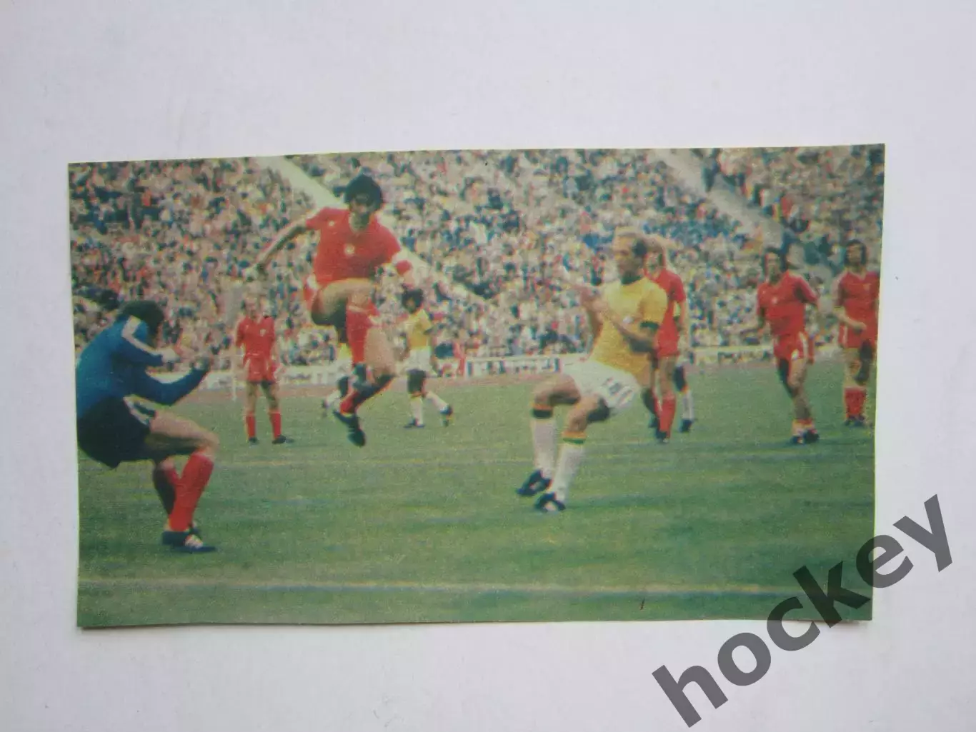 Вырезка. Футбол. Фото 367.