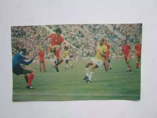 Вырезка. Футбол. Фото 367.