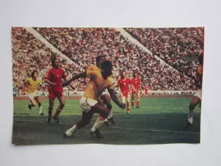 Вырезка. Футбол. Фото 368.