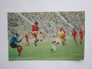 Вырезка. Футбол. Фото 369.