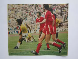 Вырезка. Футбол. Фото 371.