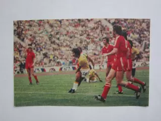 Вырезка. Футбол. Фото 373.