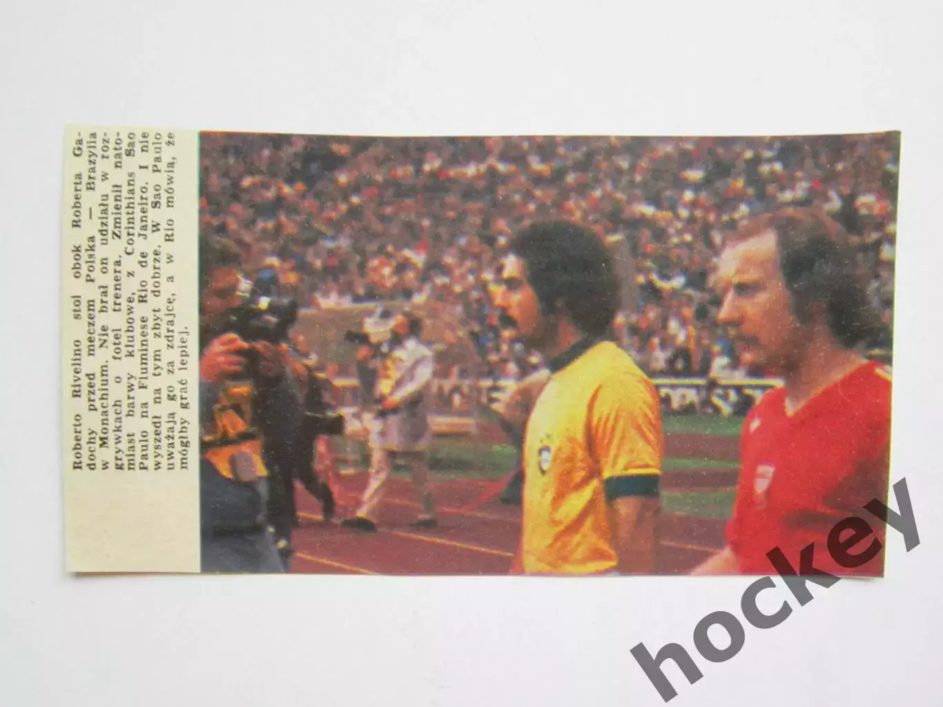 Вырезка. Футбол. Фото 374.