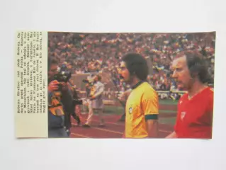 Вырезка. Футбол. Фото 374.