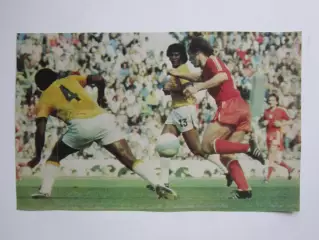 Вырезка. Футбол. Фото 375.