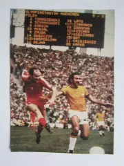 Вырезка. Футбол. Фото 376.