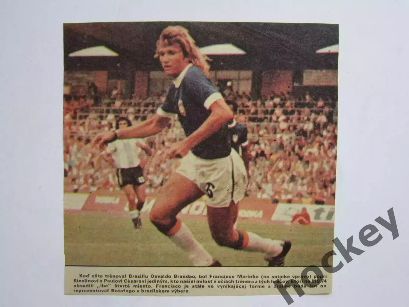 Вырезка. Футбол. Фото 378.