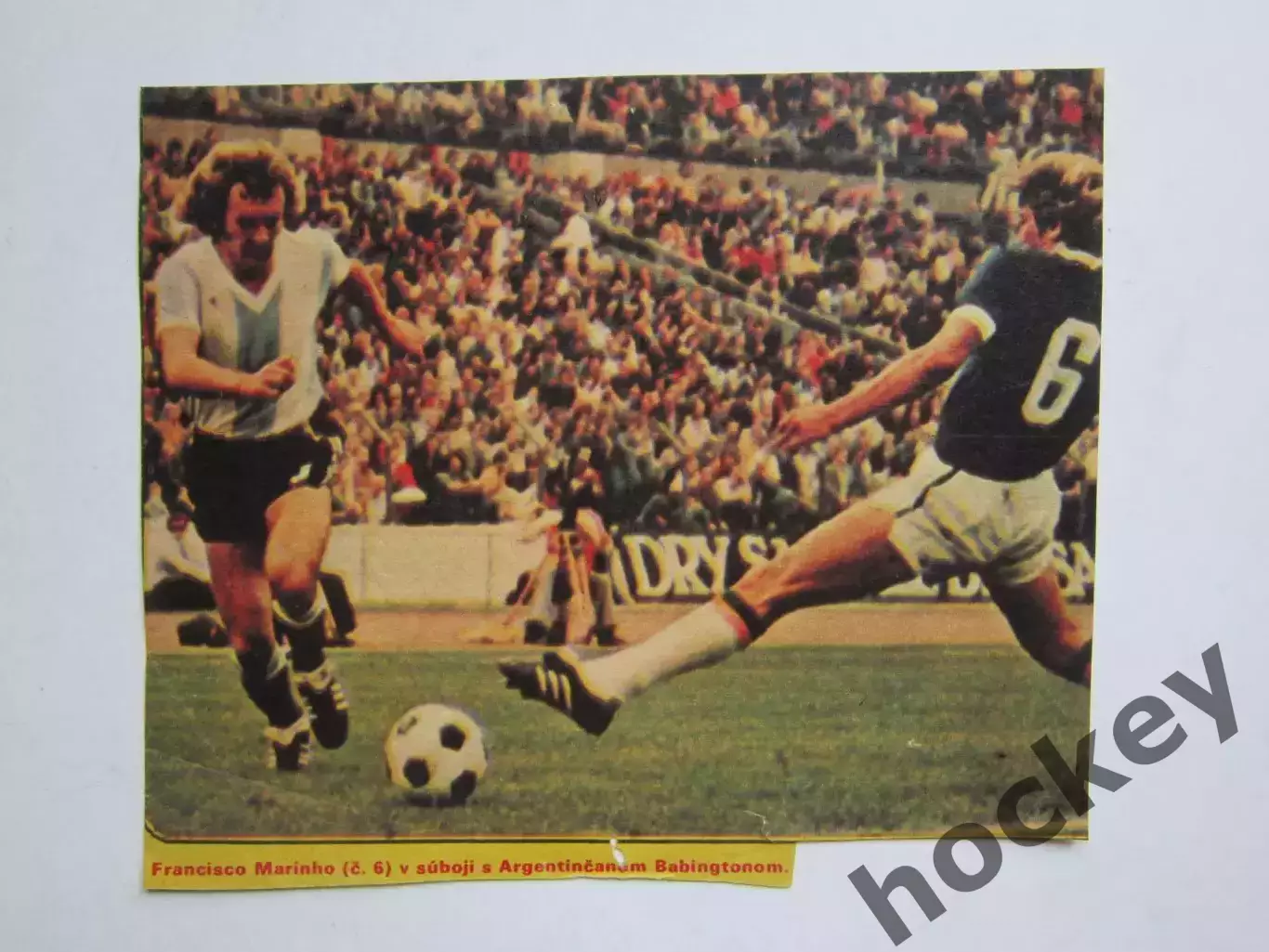 Вырезка. Футбол. Фото 379.