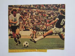 Вырезка. Футбол. Фото 379.