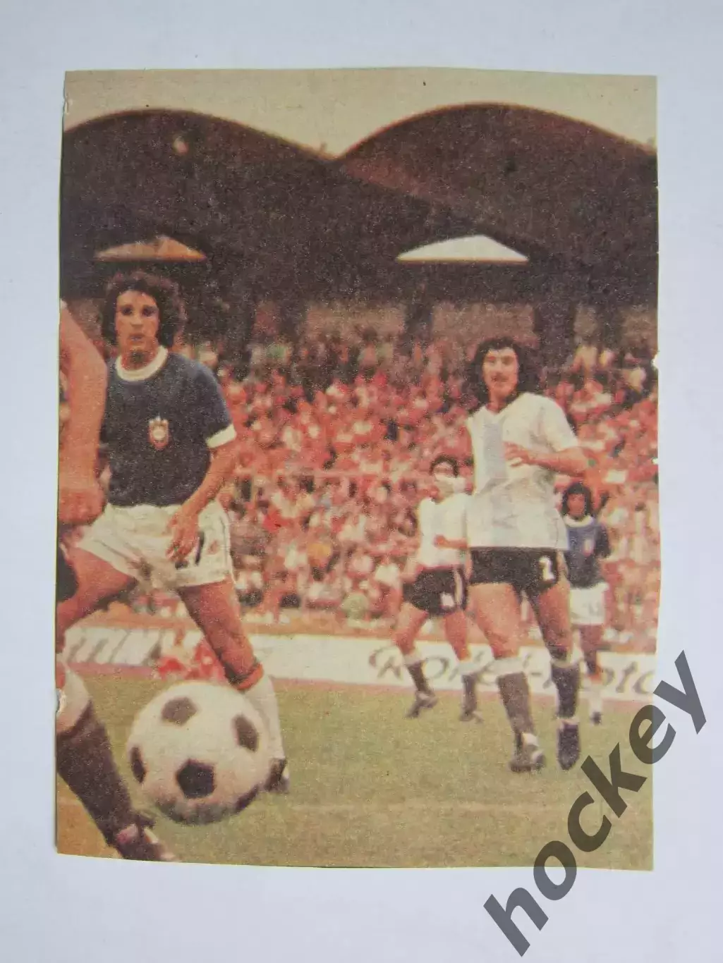 Вырезка. Футбол. Фото 380.