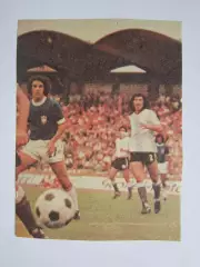 Вырезка. Футбол. Фото 380.