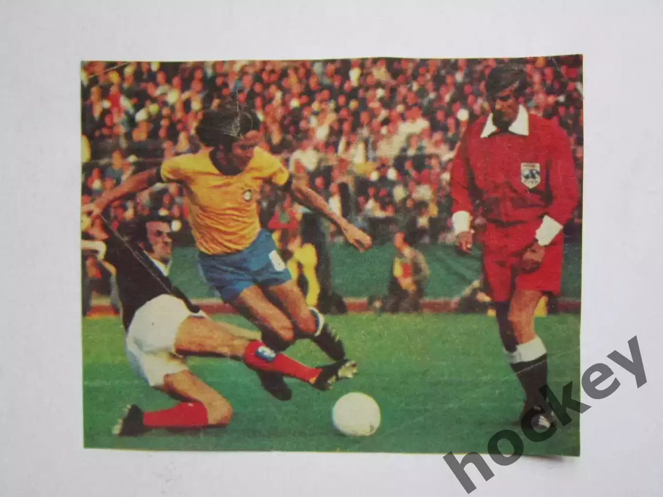 Вырезка. Футбол. Фото 381.