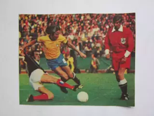 Вырезка. Футбол. Фото 381.