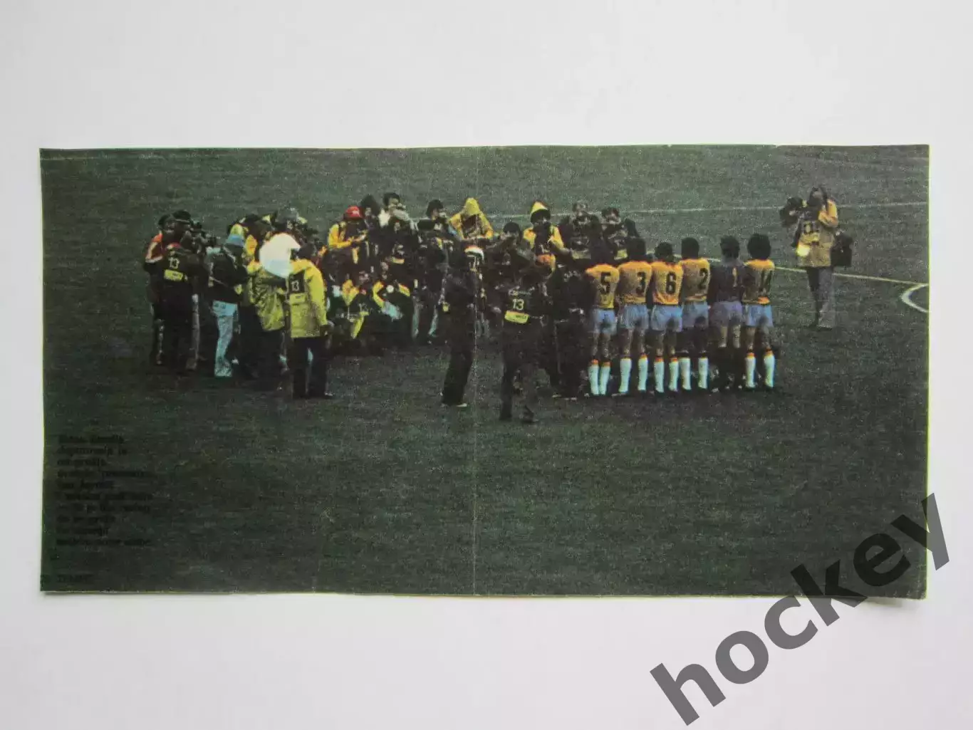 Вырезка. Футбол. Фото 384.