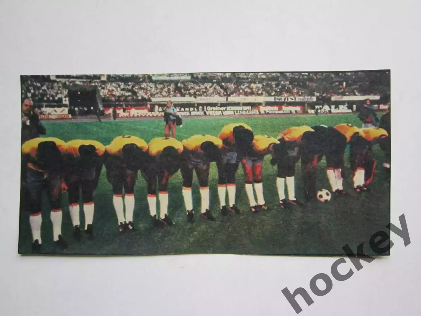 Вырезка. Футбол. Фото 385.