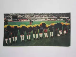 Вырезка. Футбол. Фото 385.