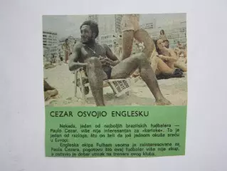 Вырезка. Футбол. Фото 388.