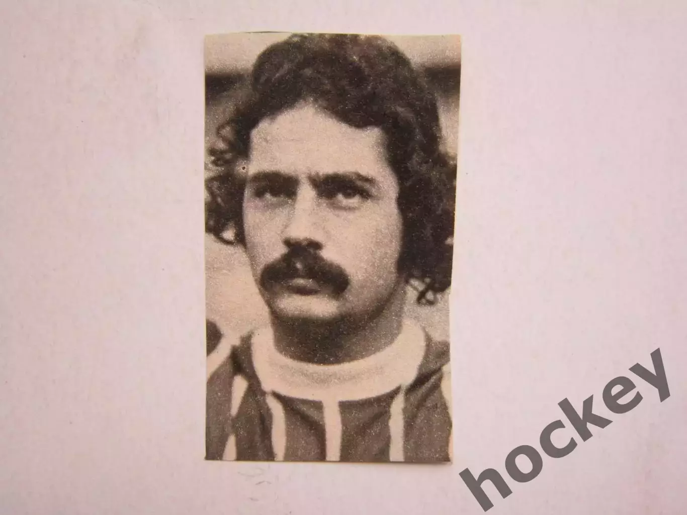 Вырезка. Футбол. Фото 390.