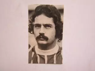 Вырезка. Футбол. Фото 390.