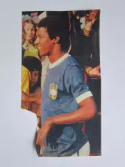 Вырезка. Футбол. Фото 391.