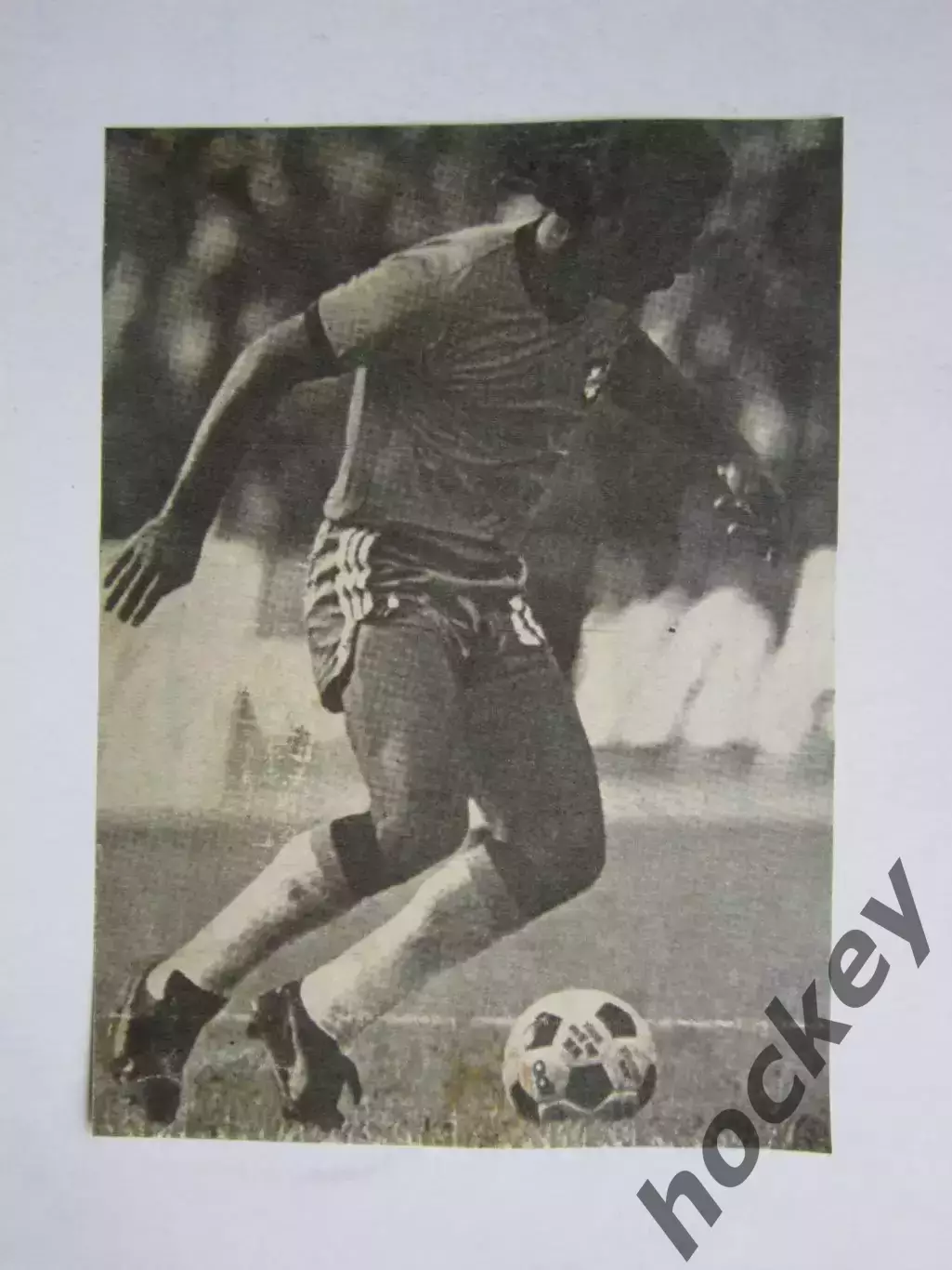 Вырезка. Футбол. Фото 393.