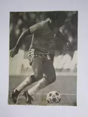 Вырезка. Футбол. Фото 393.