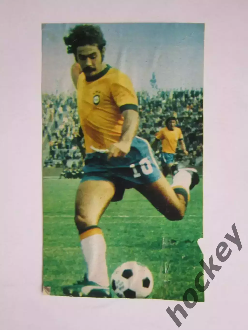 Вырезка. Футбол. Фото 398.